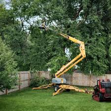 Best Fruit Tree Pruning  in Hodgenville, KY