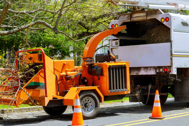 Best Hazardous Tree Removal  in Hodgenville, KY